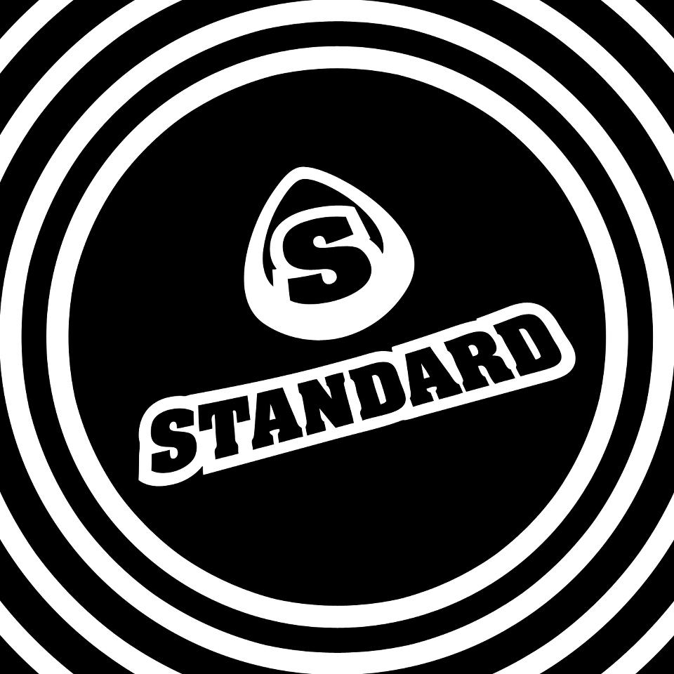 Русский аудио уровень. Скрытый волновод для iem. Hi fi brands. Standard audio. Панель управления аудио f20.