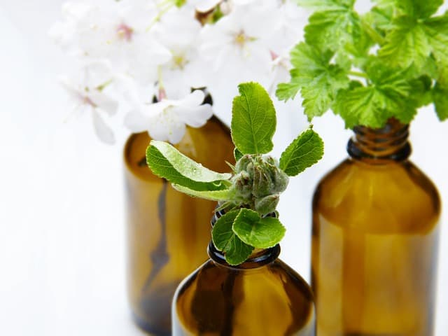 Blog Doctoome | Médecine douce : les bienfaits de la phytothérapie
