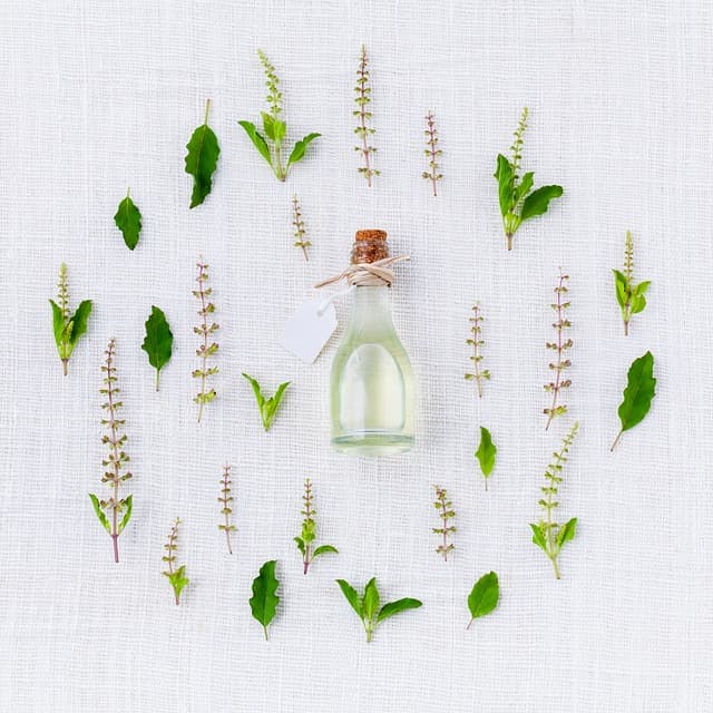 bienfaits phytothérapie