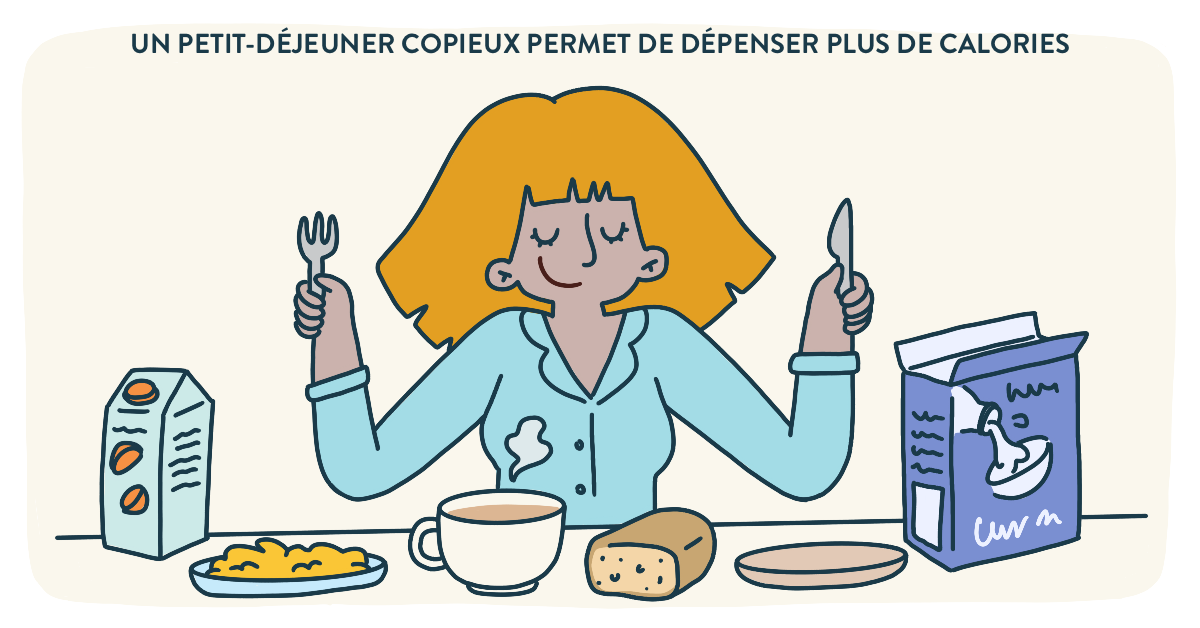 Blog Doctoome - Un petit-déjeuner copieux permet de dépenser plus de calories