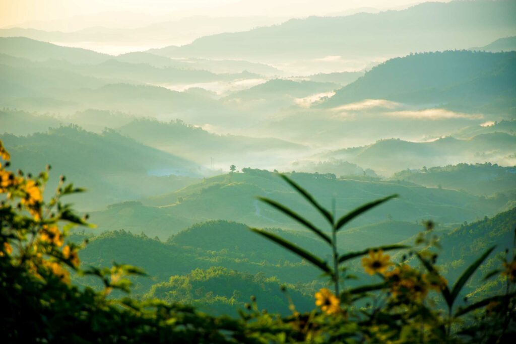 Blog Doctoome | Santé : Réduire son anxiété face au coronavirus - zen-sophrologie-destressant-nature-montagne-vert