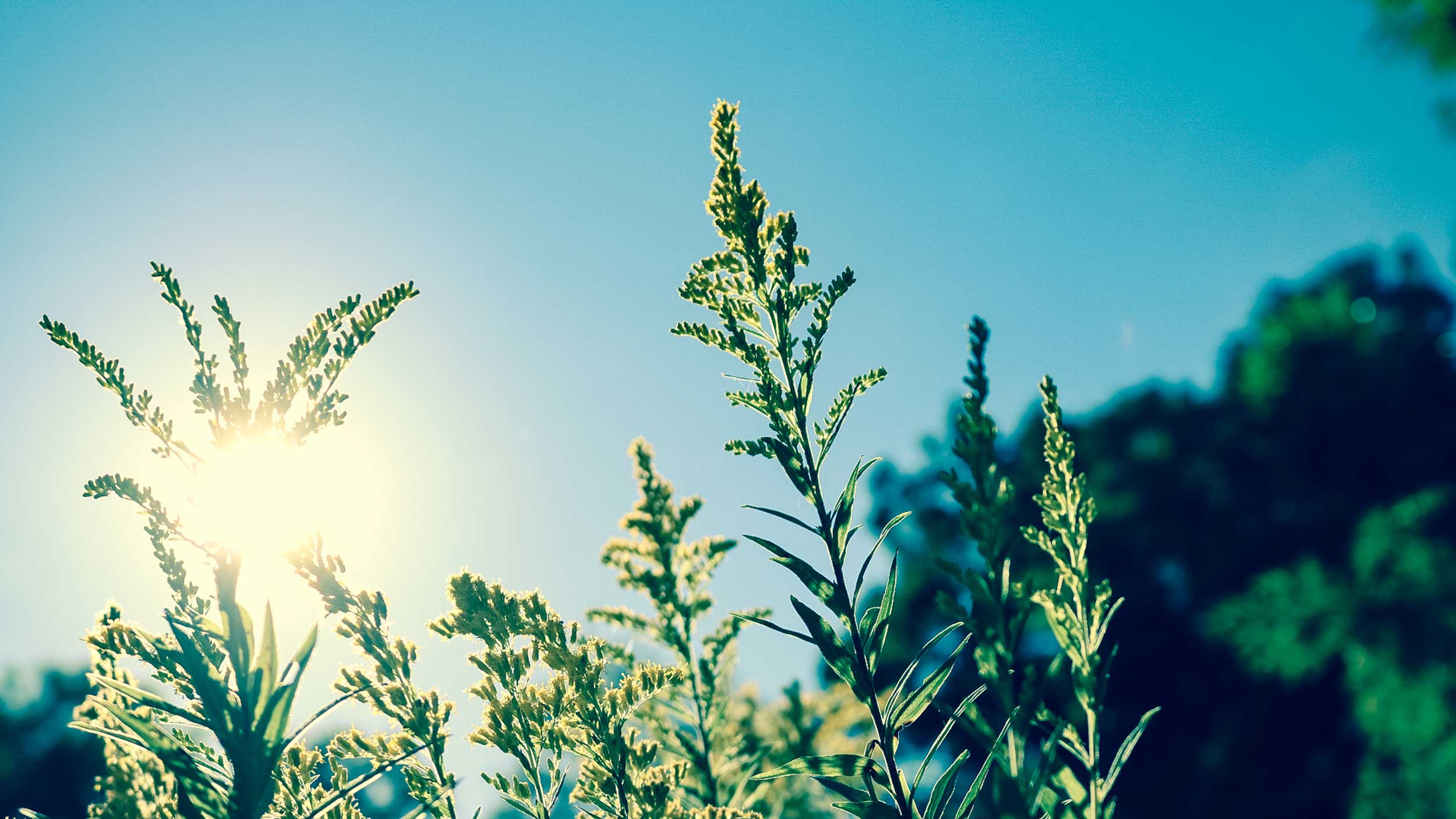 Blog Doctoome | Hausse des températures : une conséquence sur le Covid-19 ?