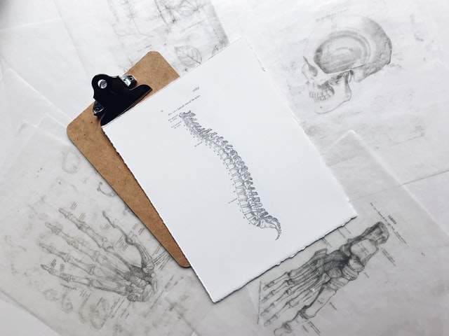 Colonne-vertebrale-chiropracteur-lumbago