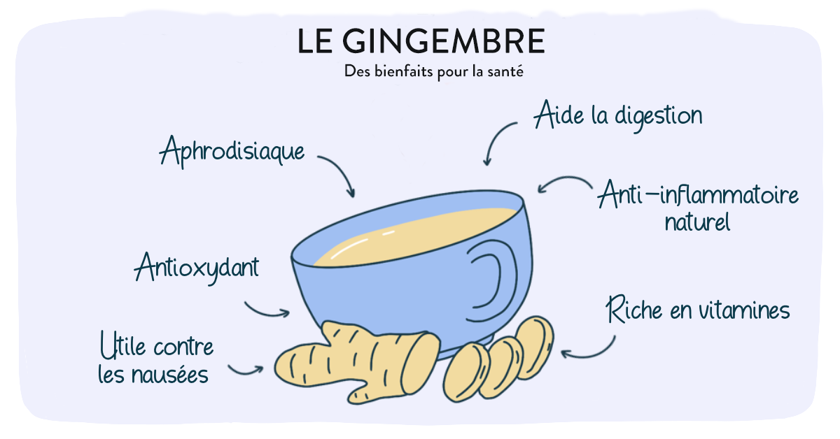 Bienfaits-Gingembre-Naturopathe-Nathalie-Fosse-Doctoome