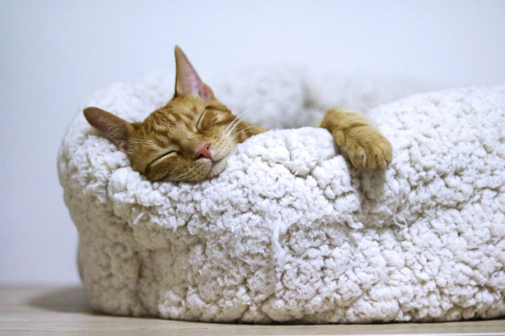 Sommeil-Therapie-holistique