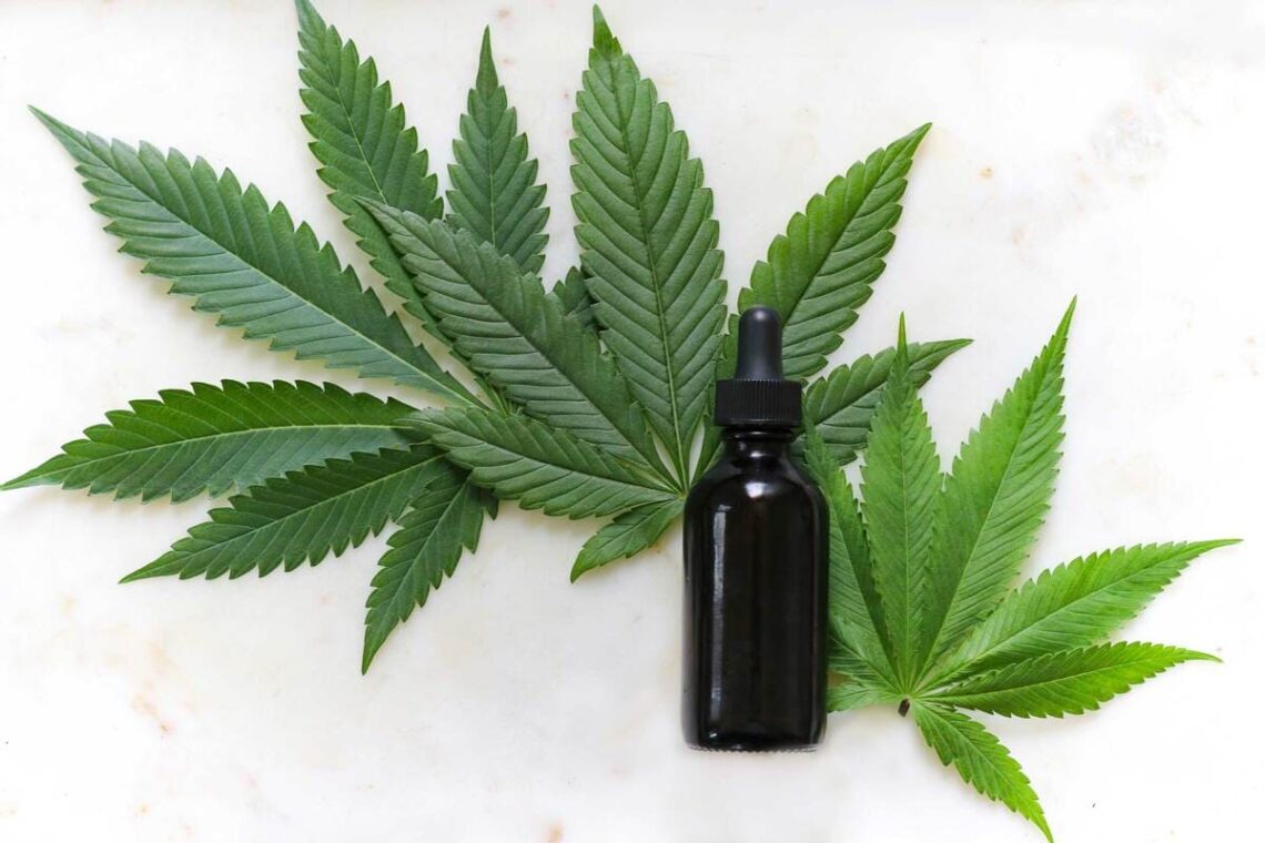 cannabis thérapeutique