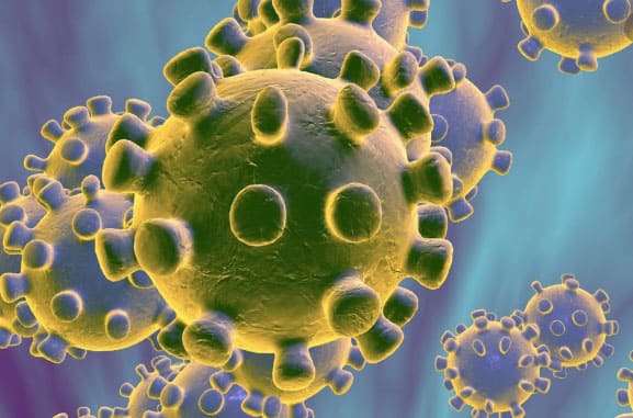 Deux nouveaux cas de coronavirus en France