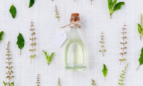 médecine douce : les bienfaits phytothérapie