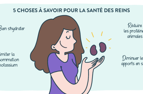 Reins : 5 choses à avoir pour sa santé
