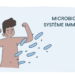 Microbiote et système immunitaire