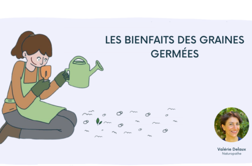 les bienfaits des graines germées