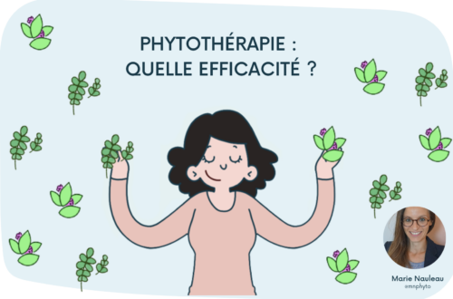 Phytothérapie : quelle est son efficacité ?