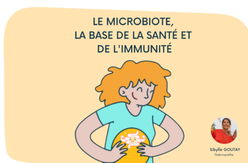 Le microbiote, LA BASE DE LA SANTé ET DE L'IMMUNITé