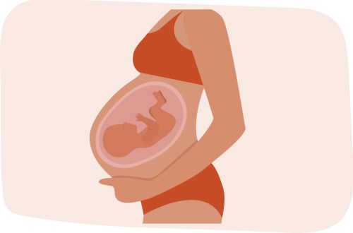 La grossesse est une période extraordinaire dans la vie d'une femme, marquée par de nombreux changements physiologiques et émotionnels.