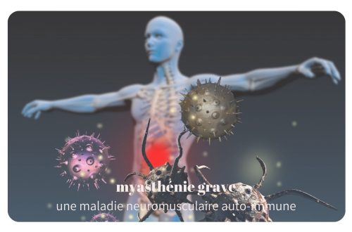 La myasthénie grave est une maladie auto-immune rare qui affecte la communication entre les nerfs et les muscles.