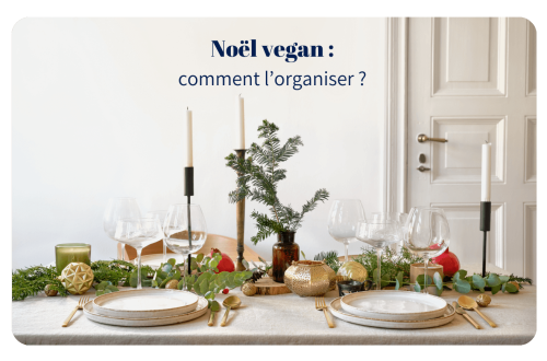 Noël, cette période chaleureuse et festive, est souvent associée à des traditions culinaires bien ancrées : foie gras, saumon fumé, dinde rôtie et bûche pâtissière. Mais que se passe-t-il lorsque ces mets traditionnels cèdent leur place à un repas entièrement vegan ? Cette année, chez Tante Simone et Oncle Bernard, les réjouissances auront une tout autre saveur !