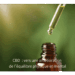 CBD et équilibre physique et mental