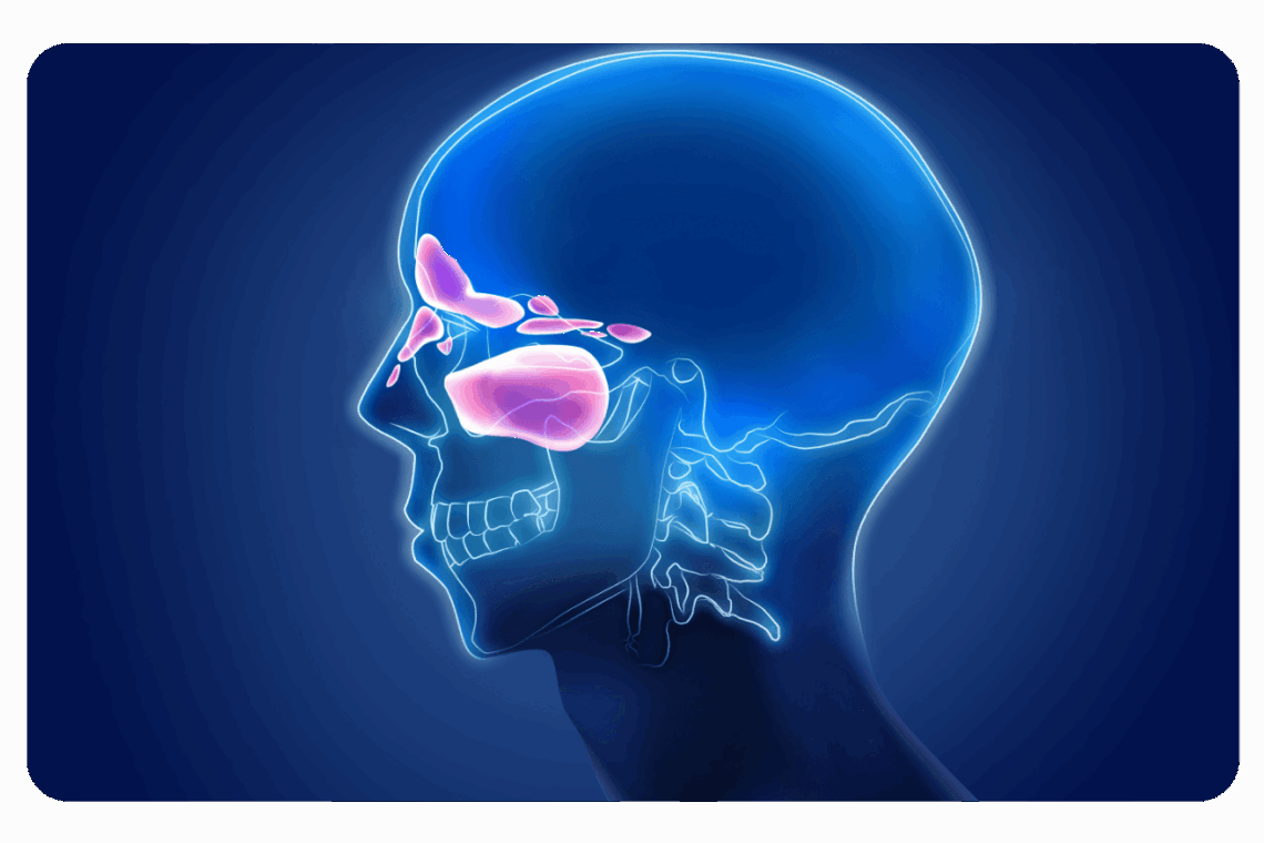 douleur sinusite vision radiologie