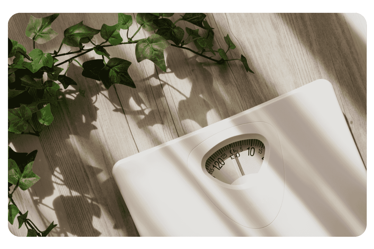 Causes de l’obésité : Comprendre et prévenir