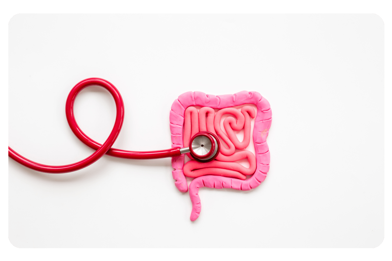 Microbiote intestinal et obésité : le lien crucial pour votre santé