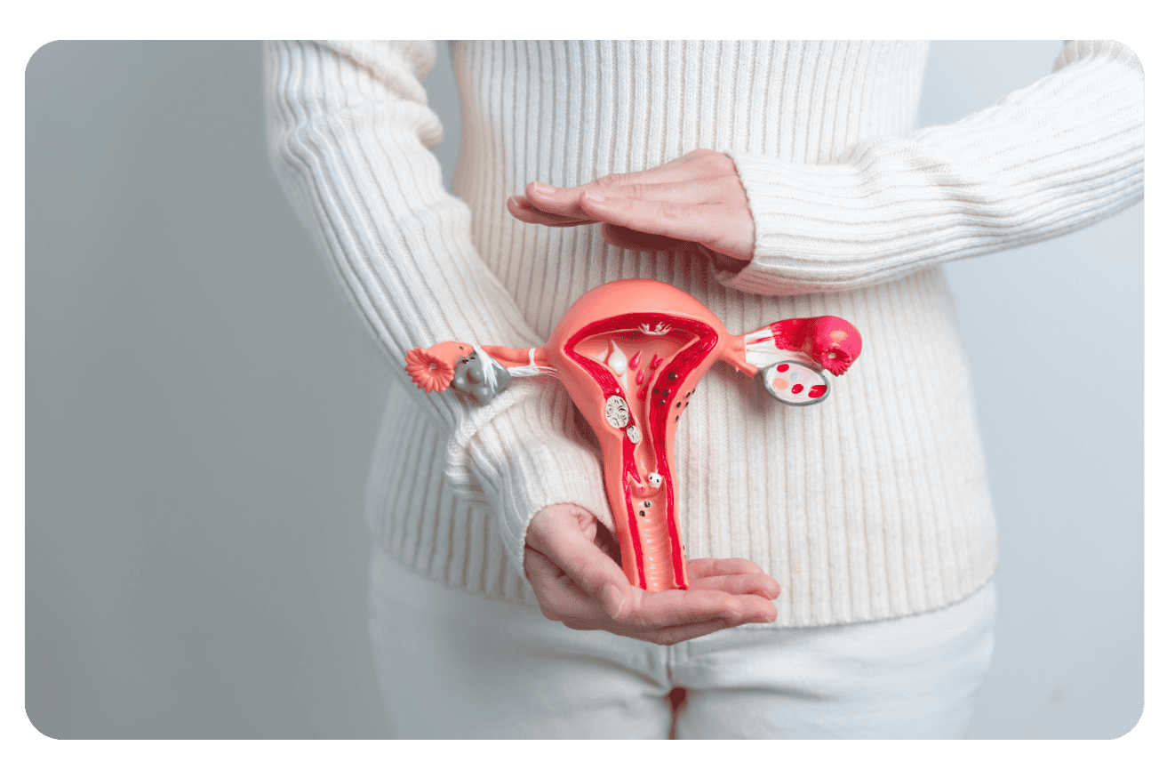 Cancer du col de l&rsquo;utérus : dépistage, symptômes et traitements – Guide complet