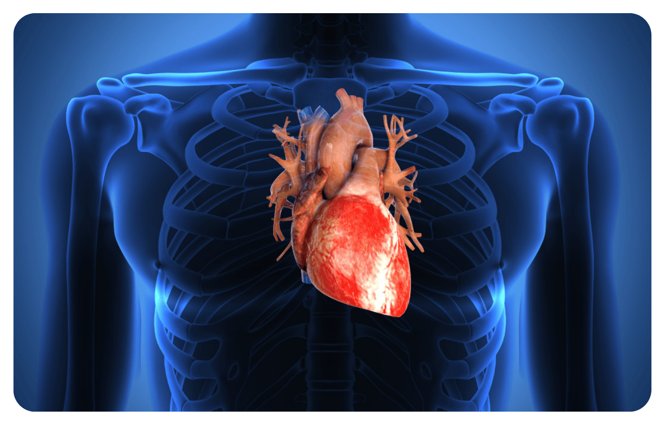 Qualité de vie dans l’insuffisance cardiaque : Mesures et impact sur le traitement