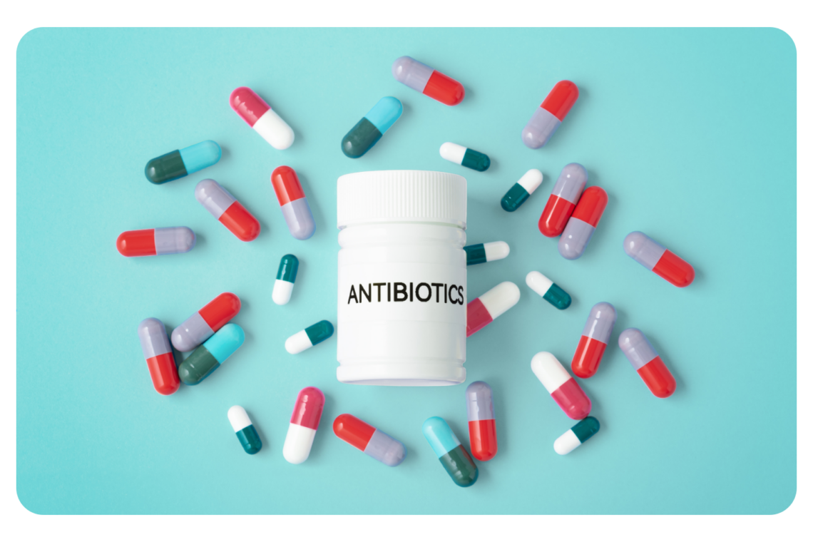 antibiotiques