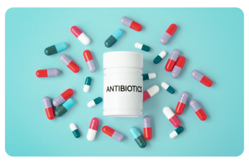 antibiotiques