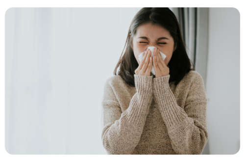 Allergie à l'ambroisie