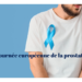 Prostate