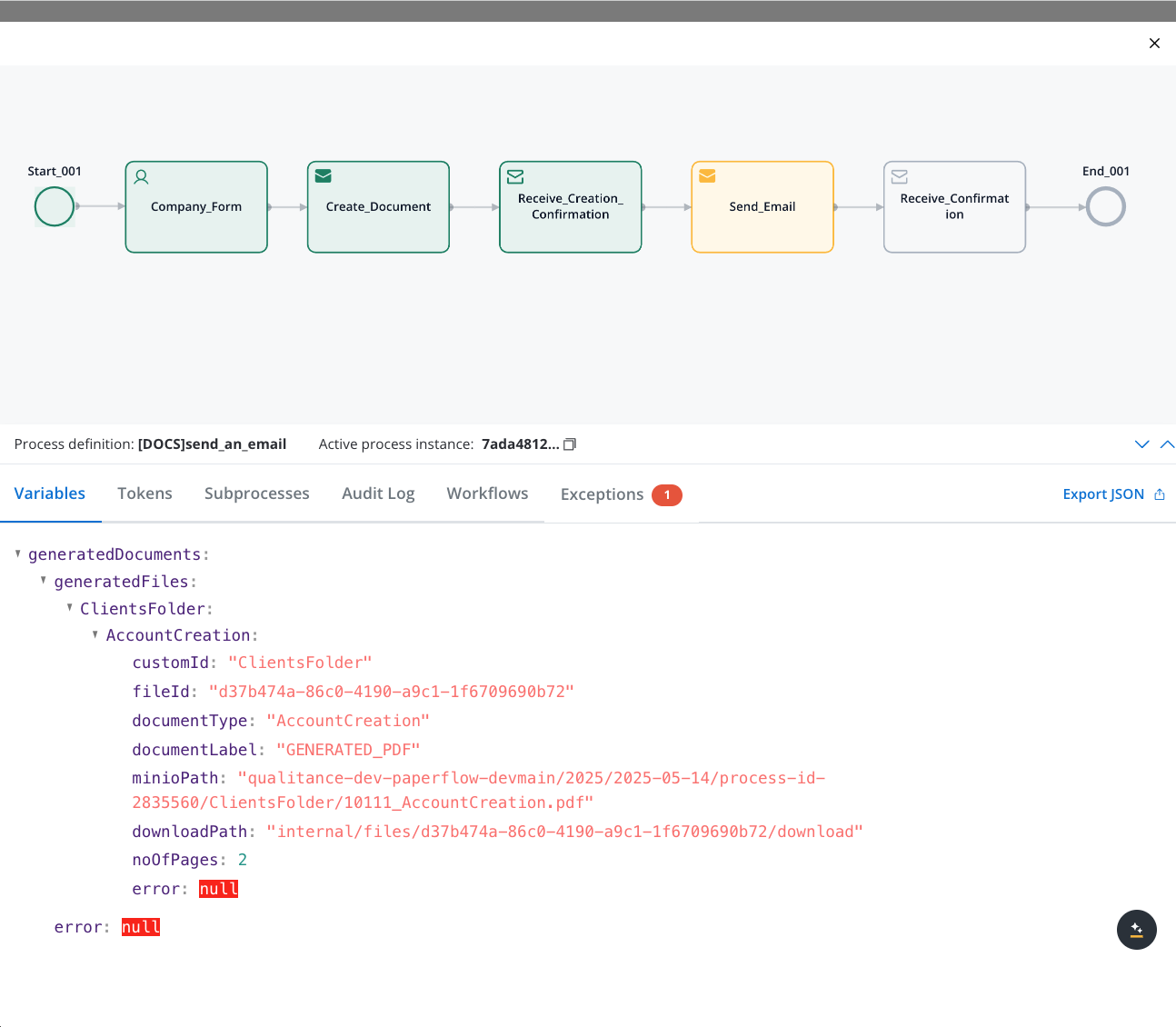Process instance details showing document paths