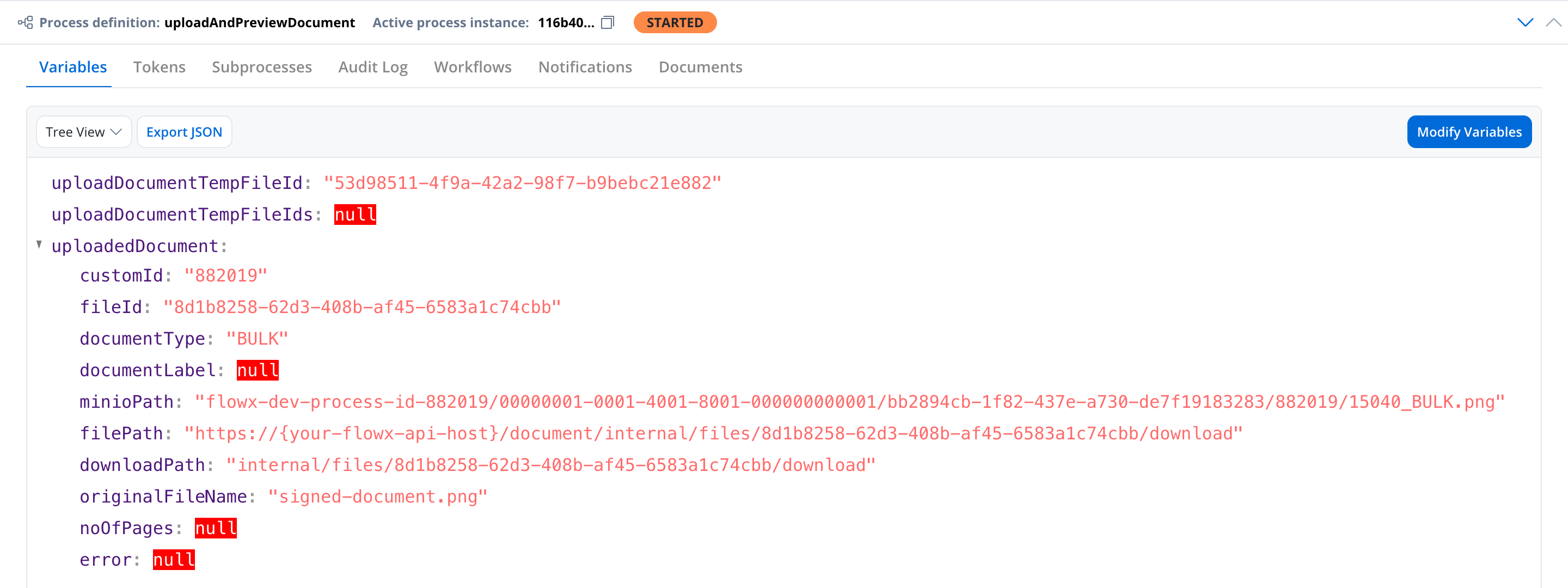Process instance variables showing the upload reply, with filePath replaced by the document preview URL