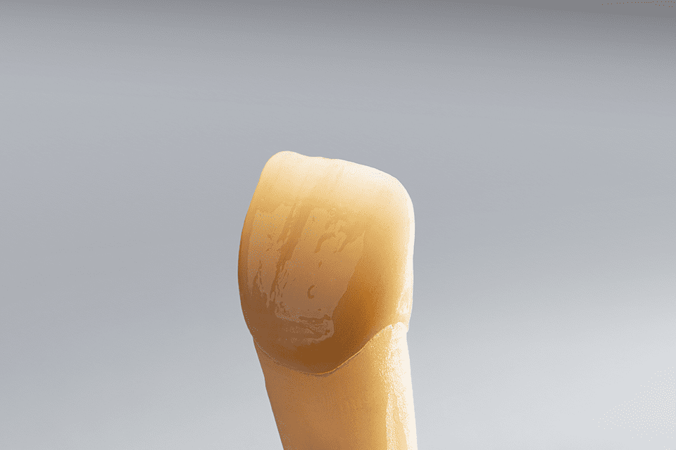 Sagemax NexxZr+ Multi 2.0 Zirconia Blocks | DentaCarts | Dental Cart
