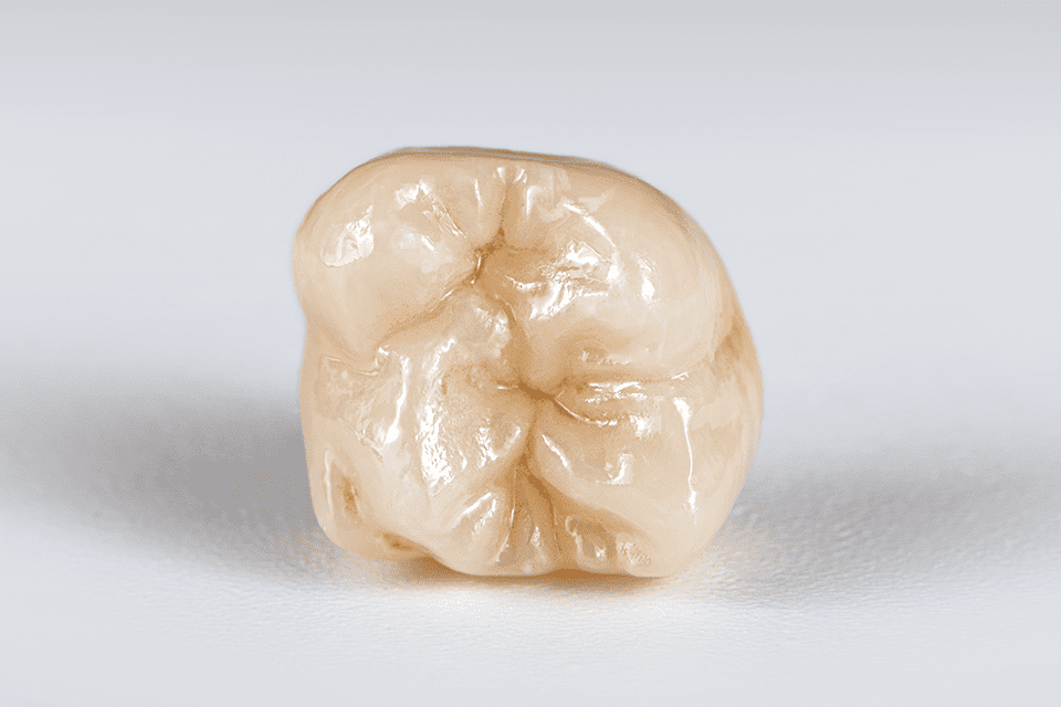 Sagemax NexxZr+ Multi 2.0 Zirconia Blocks | DentaCarts | Dental Cart