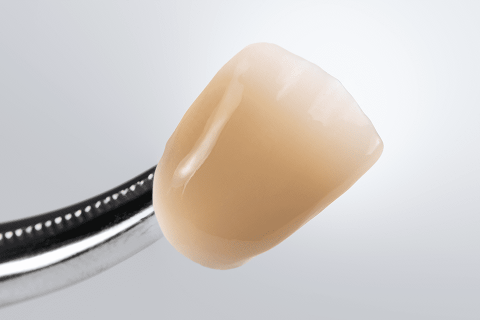 Sagemax NexxZr T Multi Zirconia Blocks | DentaCarts | Dental Cart