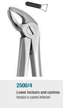 Medesy English Pattern Anatomic Tooth Forceps | DentaCarts | Dental Cart