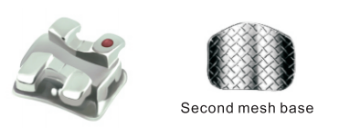 Shinye Transmission brackets | DentaCarts | Dental Cart