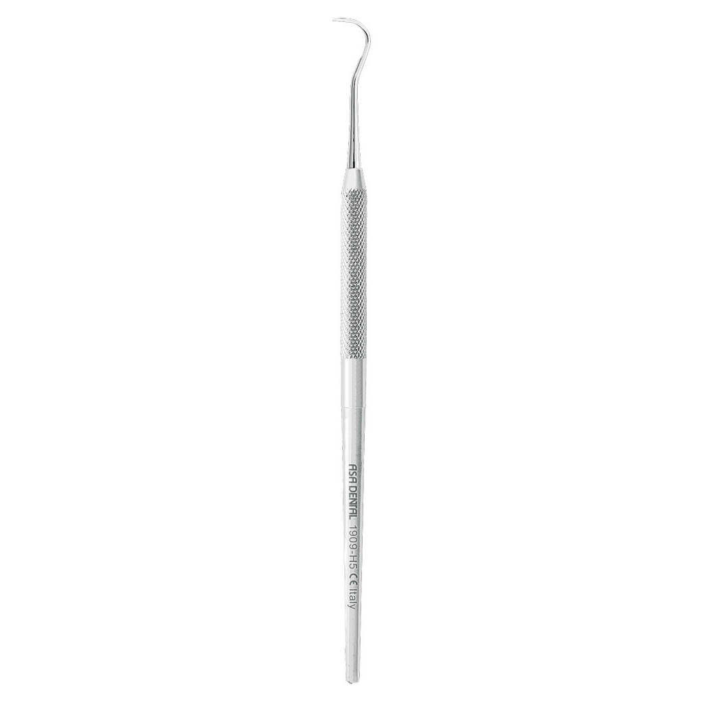 ASA SCALERS HYGIENIST FIG. H5 | DentaCarts | Dental Cart