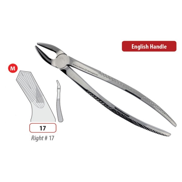 Upper Right Molar Forceps #17 | DentaCarts | Dental Cart