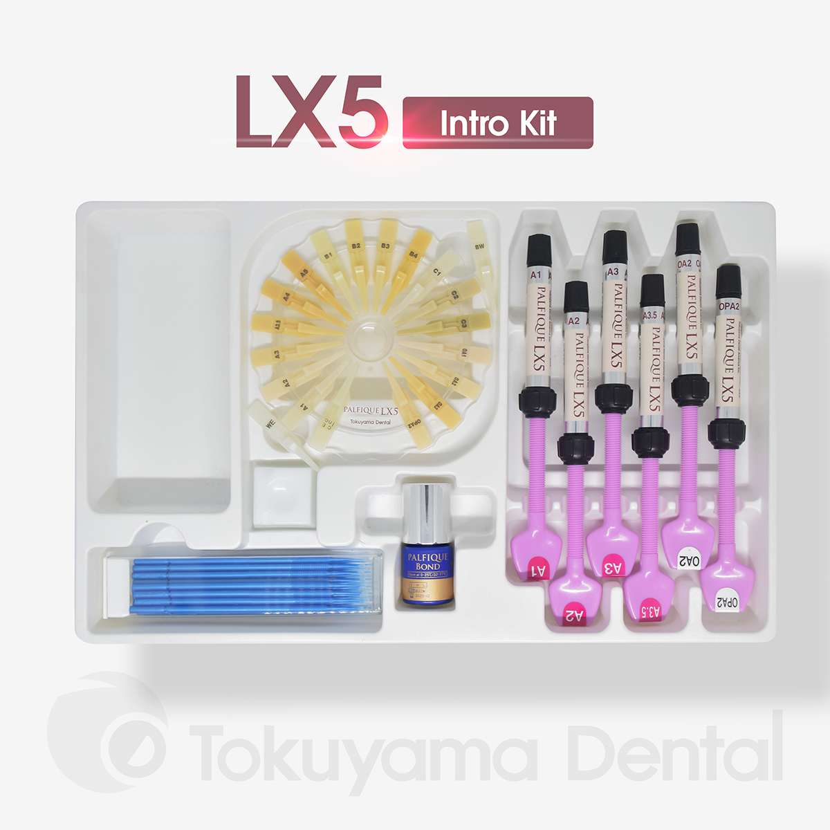 Palfique LX5 Intro Kit | DentaCarts | Dental Cart