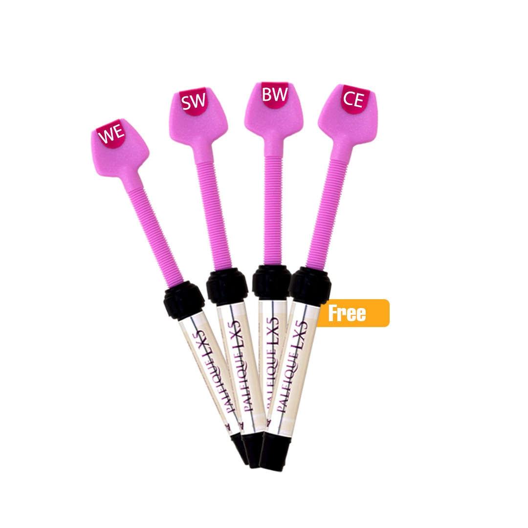 Offer- Buy 2 Seringe PALFIQUE LX5 SW or BW or WE shade Get PALFIQUE  LX5 CE shade | DentaCarts | Dental Cart
