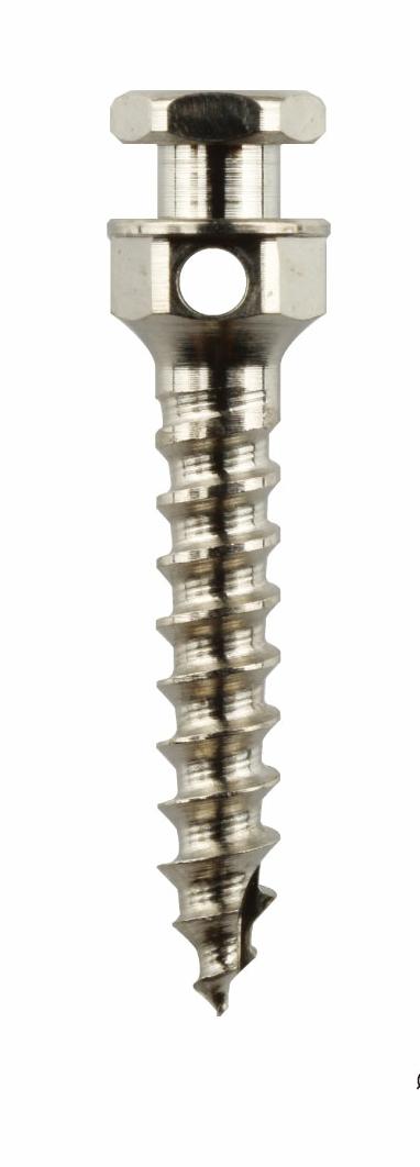 MCT Bio Korean Titanium Mini Screw | DentaCarts | Dental Cart