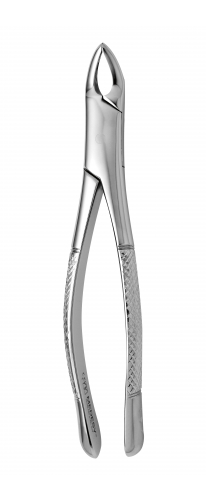 MEDESY TOOTH FORCEPS AMERICAN N.150 | DentaCarts | Dental Cart