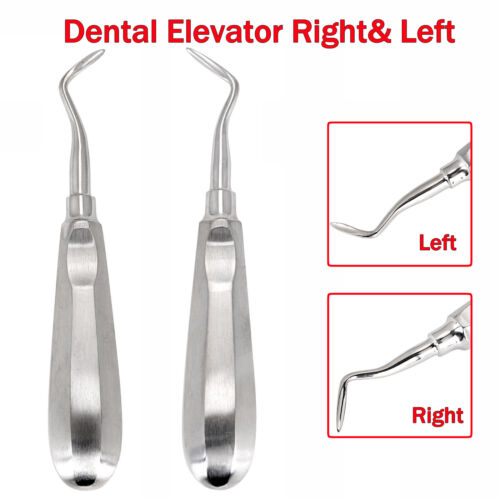 Curved Apexo Elevator