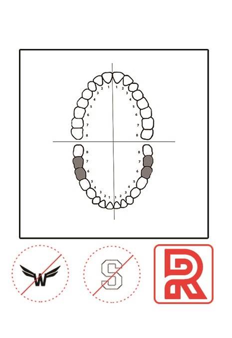 Dentech KSK clamp No. 26 | DentaCarts | Dental Cart
