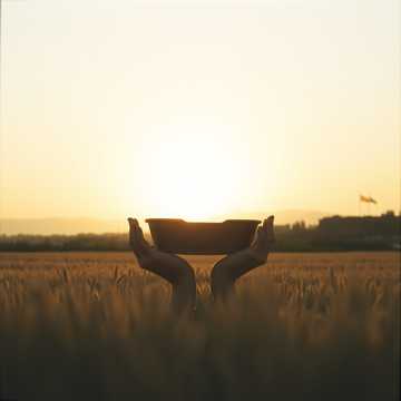 Обложка: Матери, берегите сынов!