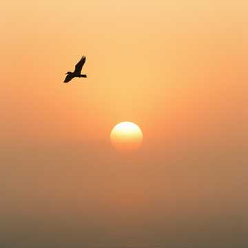 Обложка: Мой горизонт