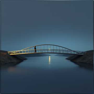 Обложка: Невидимый мост