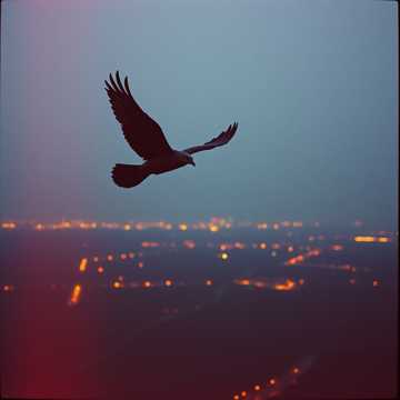 Обложка: Чужой для них