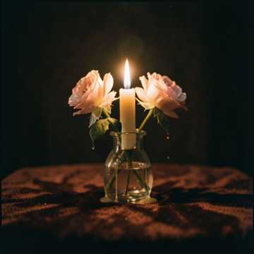 Обложка: Сегодня ночью